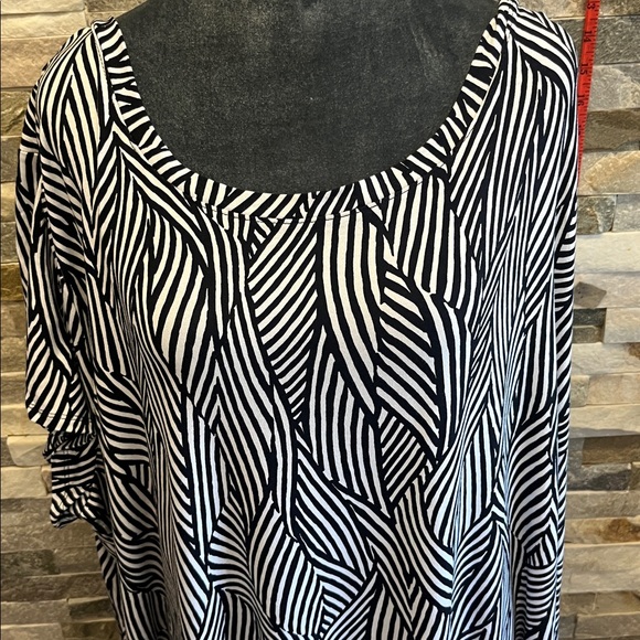 Terra & Sky Zebra Print Top in Black and White - Picture 2 of 9